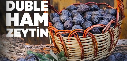 Ham zeytin kıvırcık mı daha güzel olur yoksa  parlak mı olmalıdır?