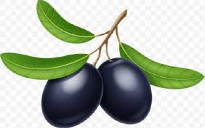 Kurduğunuz Siyah Ham Zeytin Neden Yumuşar?