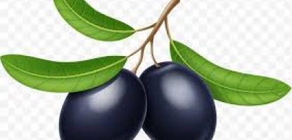 Kurduğunuz Siyah Ham Zeytin Neden Yumuşar?